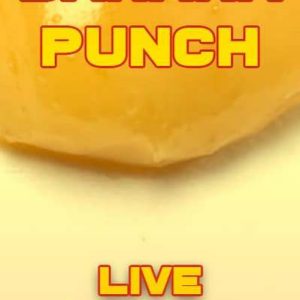 Banana Punch Live Badder